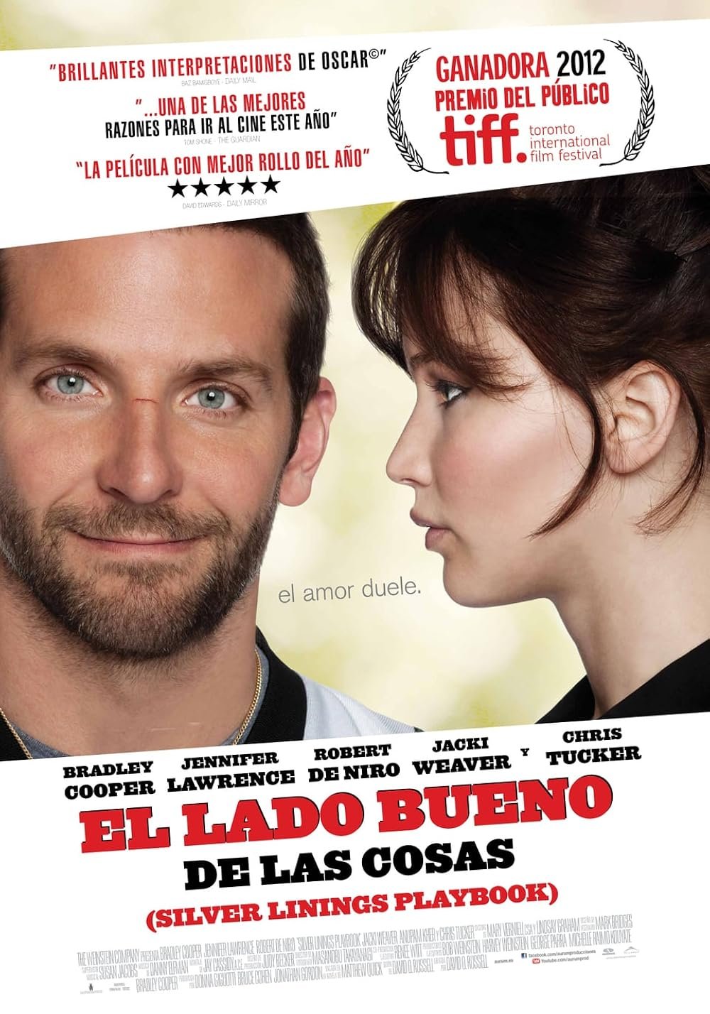 El lado bueno de las cosas (2012)